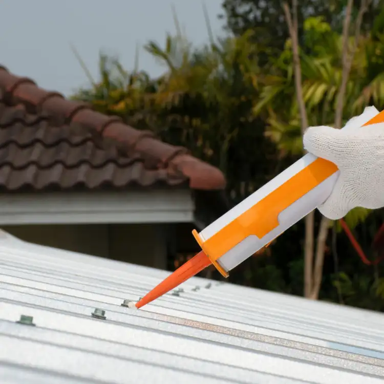 cd4d8003157a5d262d04b967e3d5e674