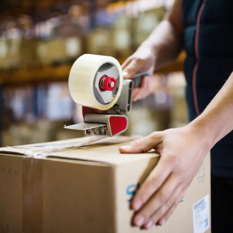 6a07241daaea909c9f810336ee05105c