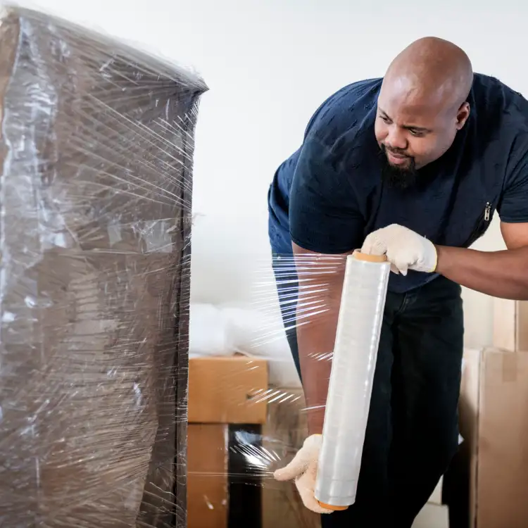 90c9a77022cafa7b374d9c7f7932220c